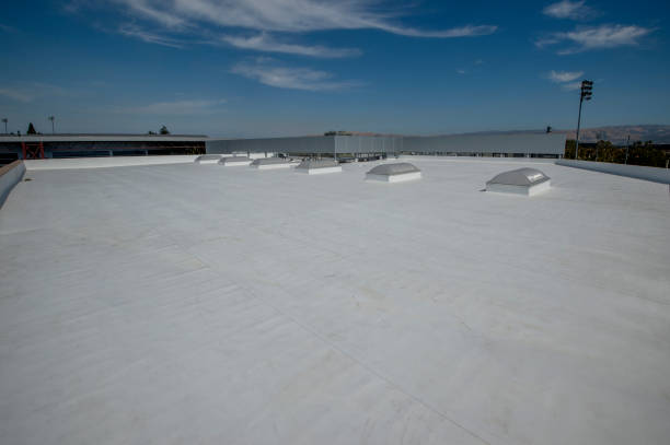 Best Roof Coating and Sealing  in El Dorado Springs, MO